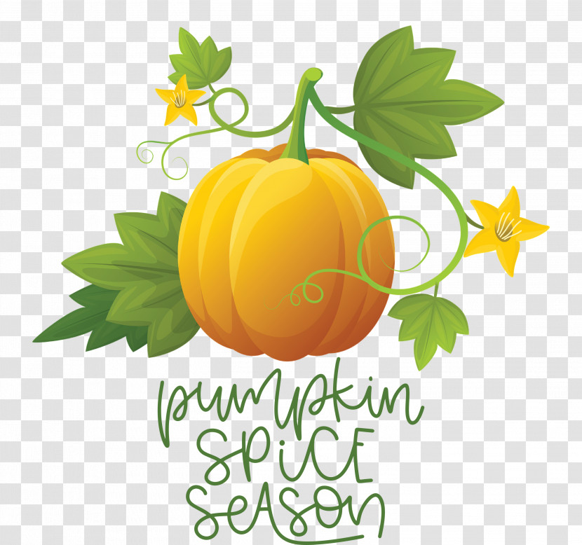 Autumn Pumpkin Spice Season Pumpkin Transparent PNG