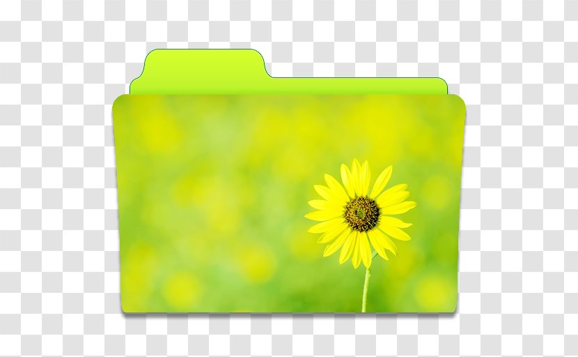 Sunflower Meadow Petal Yellow - Widescreen - Folder Transparent PNG