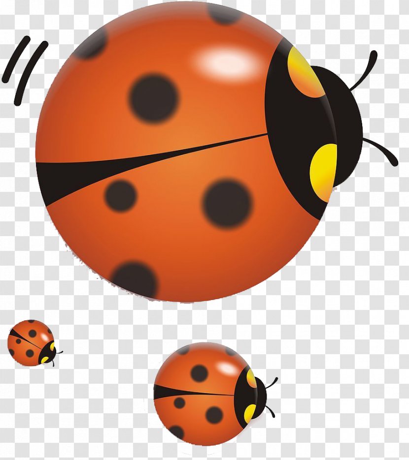 Volkswagen Beetle Ladybird Butterfly Car - Invertebrate - Ladybug Whole Family Transparent PNG