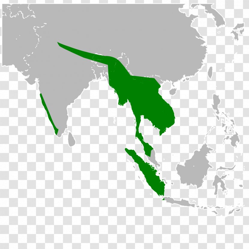 Burma Golden Triangle Map - Organism - Southeast Asia Travel Transparent PNG