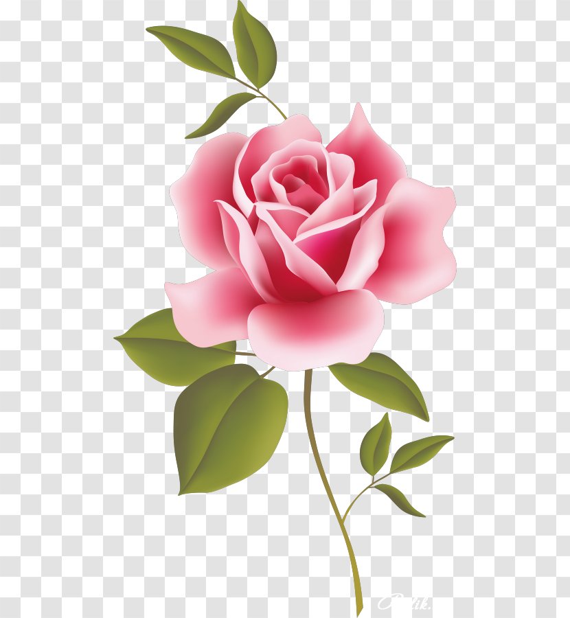Rose Pink Clip Art - Pretty Flowers Transparent PNG