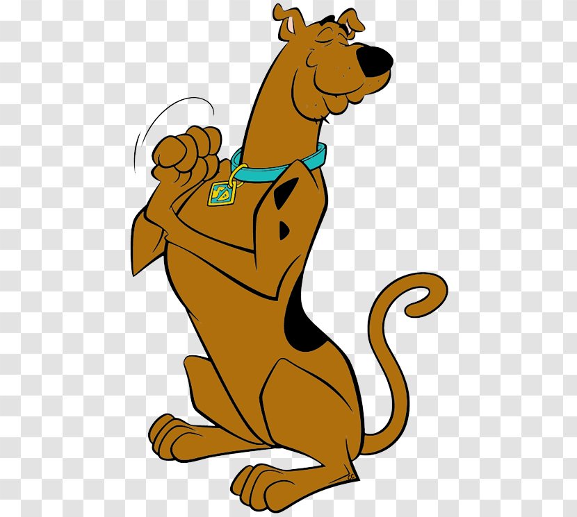 Scooby Doo Shaggy Rogers Scooby-Doo! Hanna-Barbera - Organism - Cat Like Mammal Transparent PNG