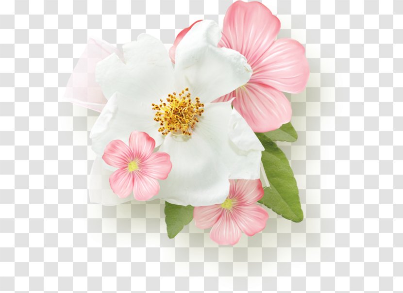 Pink Flower Day White - Rose - Magnolia Transparent PNG