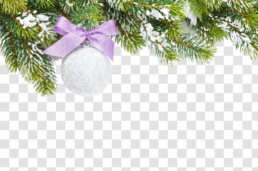 Christmas Tree - Pine - Plant Conifer Transparent PNG