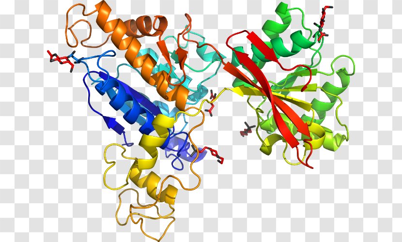 Metabotropic Glutamate Receptor 7 - 6 - Protein Transparent PNG