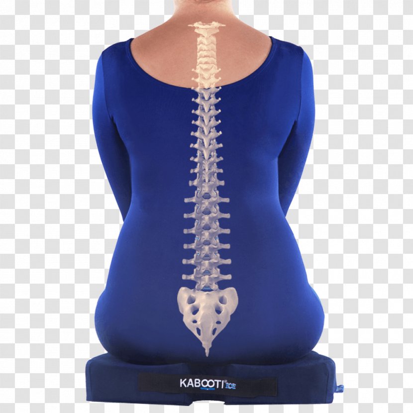 Coccyx Lumbar Coccydynia Cushion Sitting - Pain - Cushions Transparent PNG