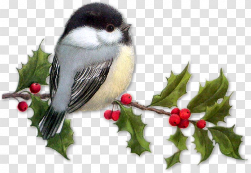 Bird Animation Gfycat - Christmas Ornament - Humming Transparent PNG