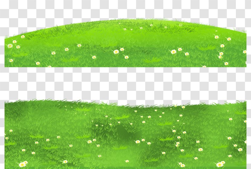 Clip Art Illustration Image Free Content - Grass - Green Meadow Transparent PNG