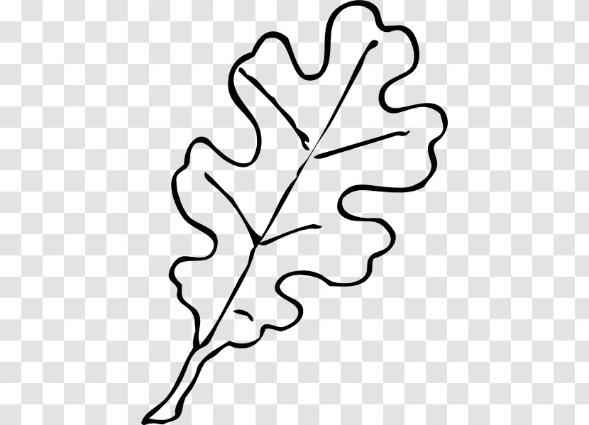 Leaf White Oak Clip Art - Flowering Plant Transparent PNG