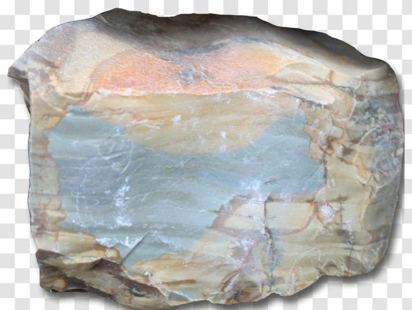 Leslie Gulch Owyhee River Mineral Jasper Petrified Wood - Map - Rose Transparent PNG