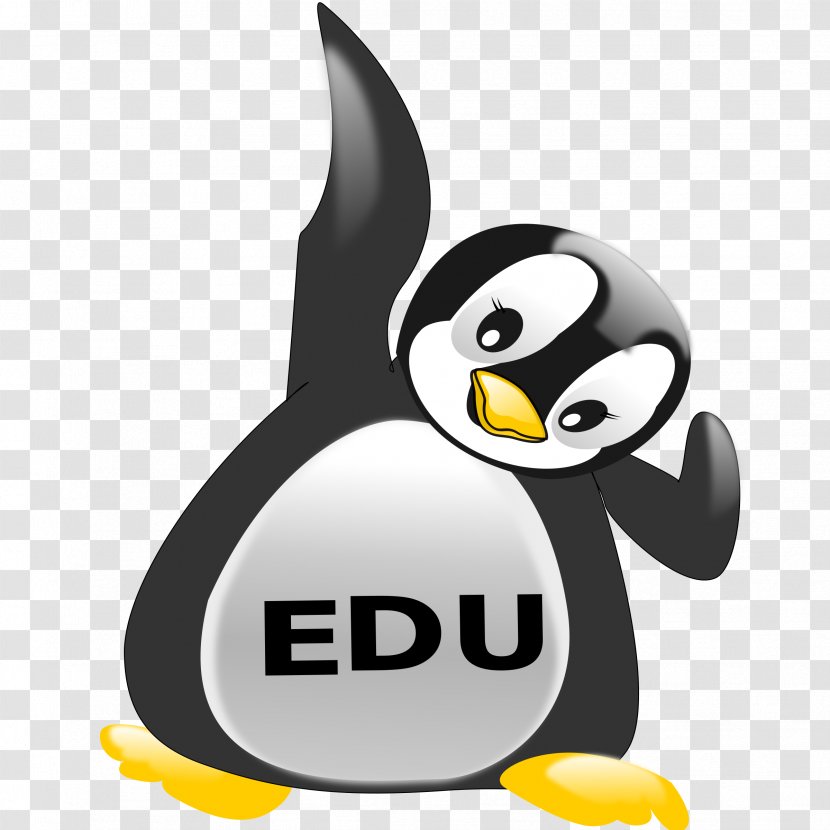 Edulogo King Penguin Desktop Wallpaper - Bird - Post It Animals Transparent PNG