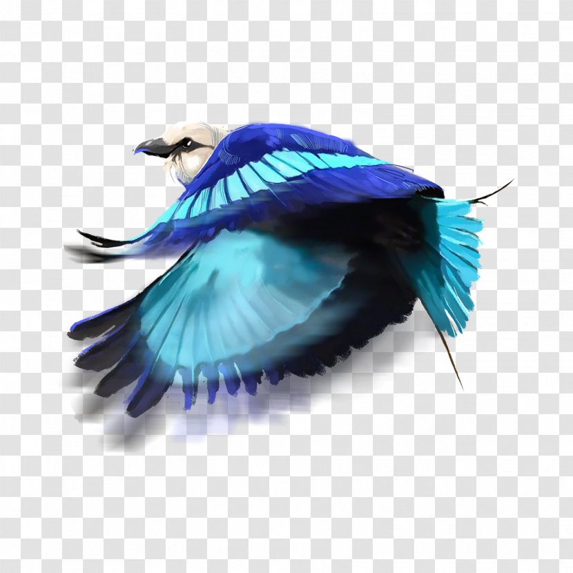 Feather Turquoise - Wing Transparent PNG