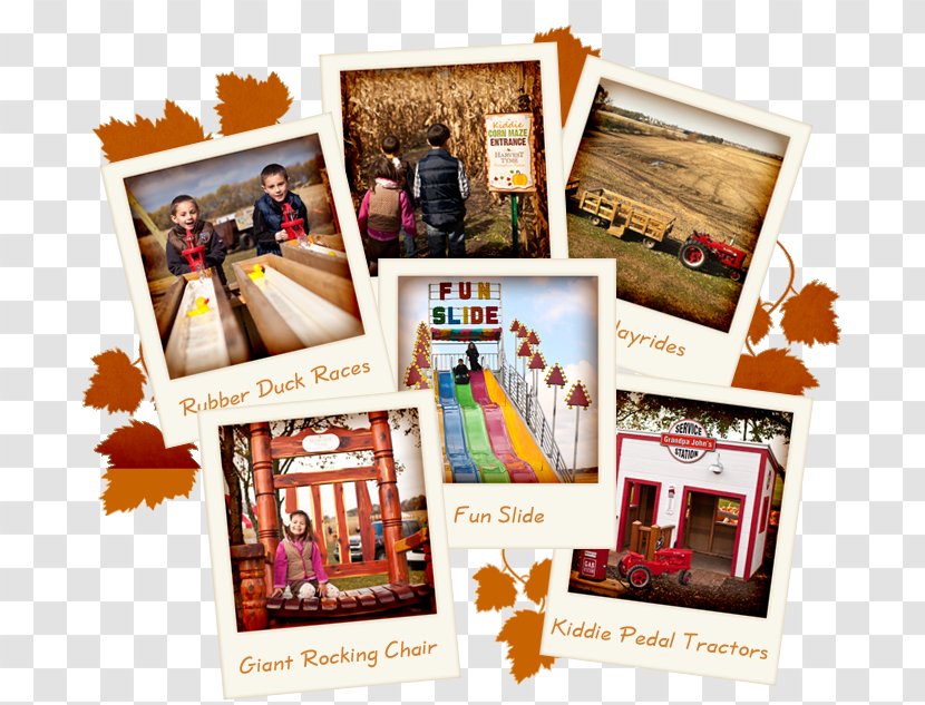 Picture Frames Advertising Collage - Frame - Field Trip Transparent PNG