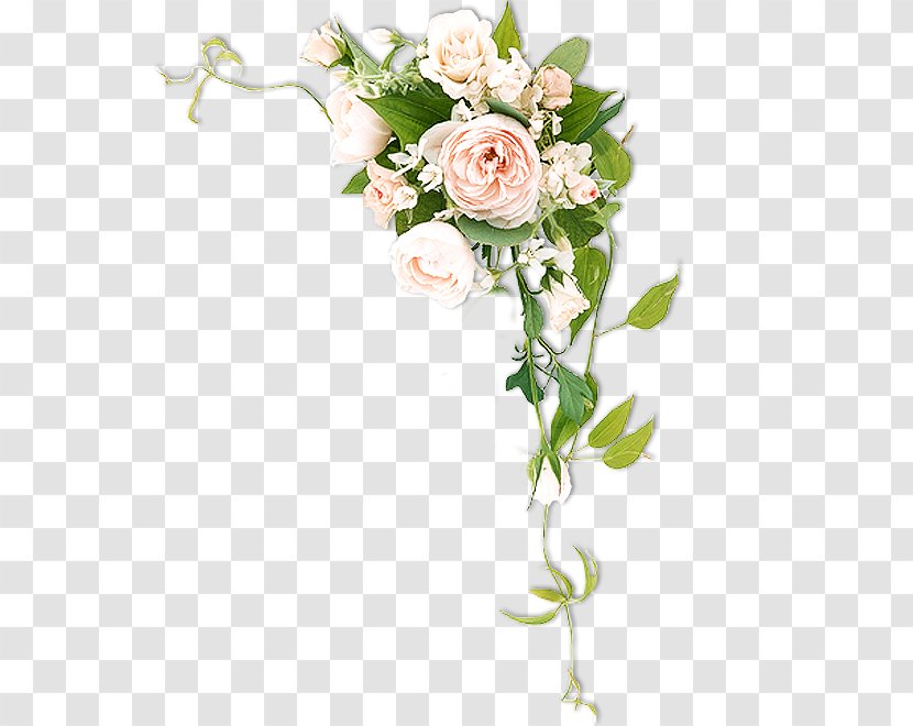 Cut Flowers Rose - Branch - Peonies Transparent PNG