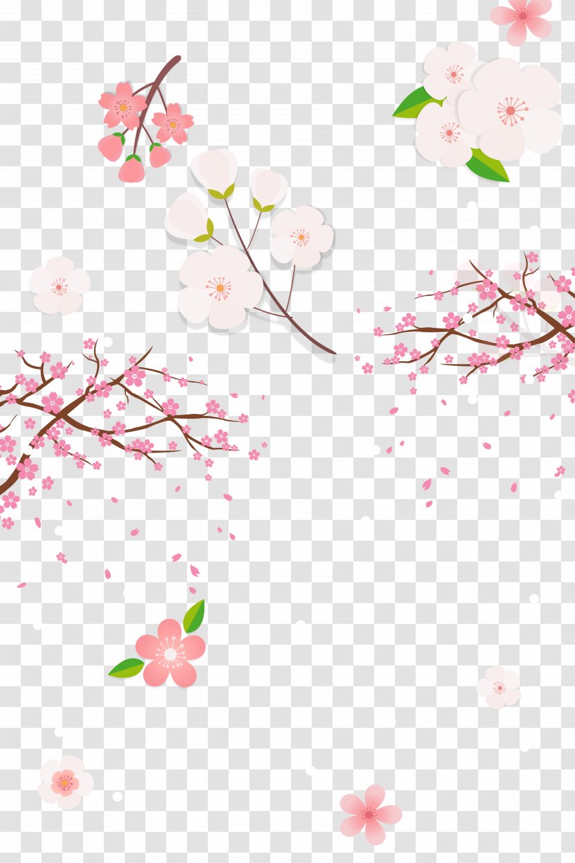 National Cherry Blossom Festival - Flower Arranging - Hand-painted Cartoon Blossoms Transparent PNG
