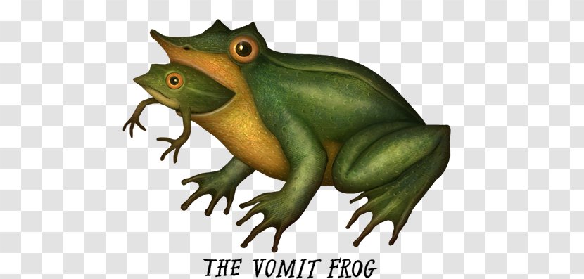 Toad True Frog Amphibians Tree - Monster - Finnish Folk Dancers Transparent PNG