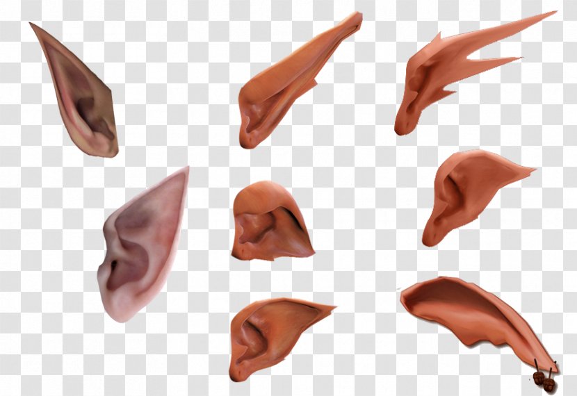 Ear Elf Software - Tree - Wizard Ears Daquan Material Free To Pull Transparent PNG