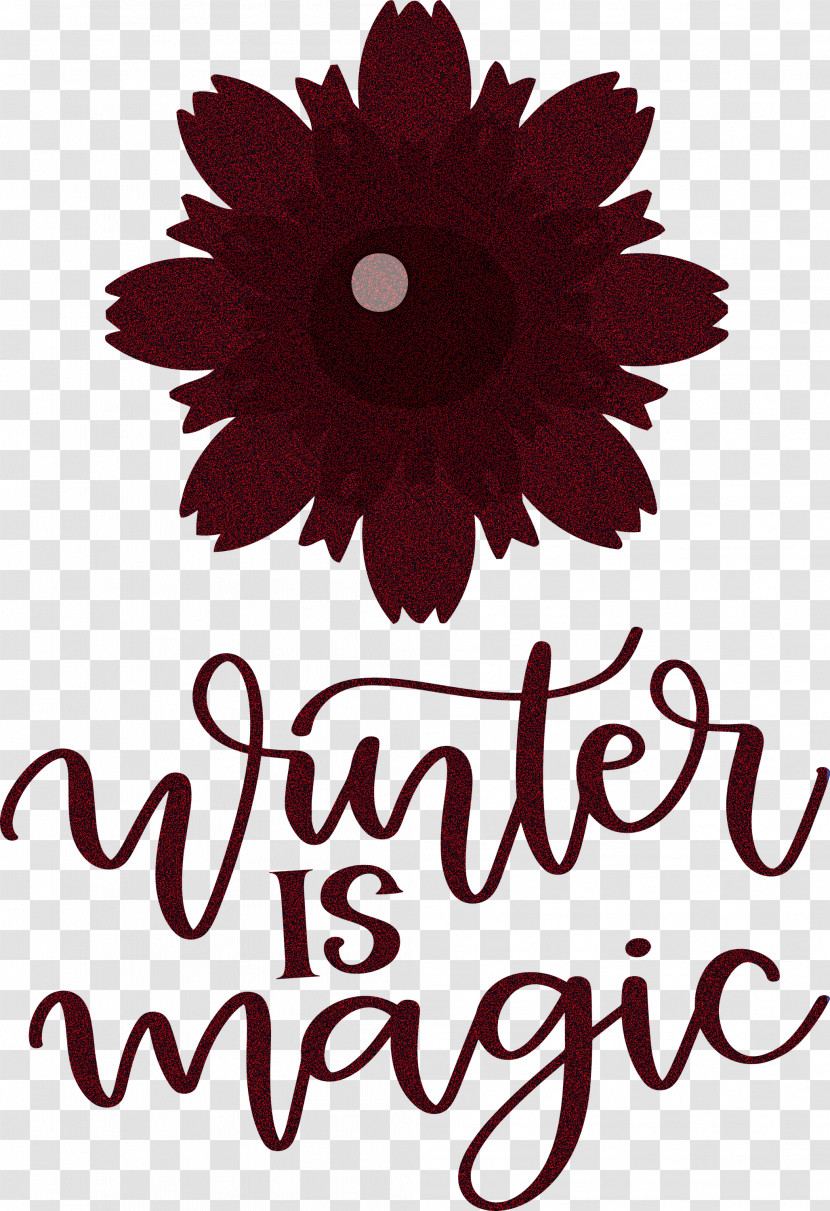 Winter Is Magic Hello Winter Winter Transparent PNG