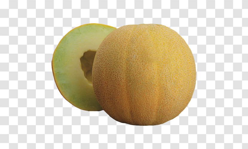 Honeydew Galia Melon Cantaloupe Food - Gourd - Hami Transparent PNG