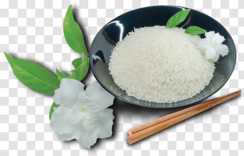 White Rice Jasmine Cooked Oryza Sativa Transparent PNG