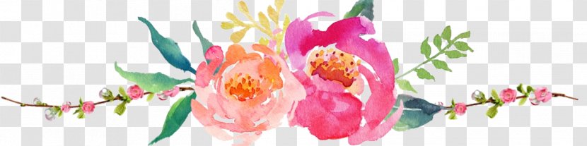 Floral Design Watercolor Painting Flower Logo Floristry - Spring Transparent PNG