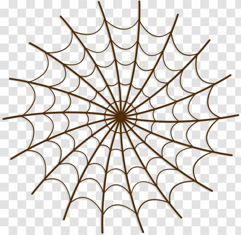 Clip Art Vector Graphics Spider Web Illustration - Line Transparent PNG