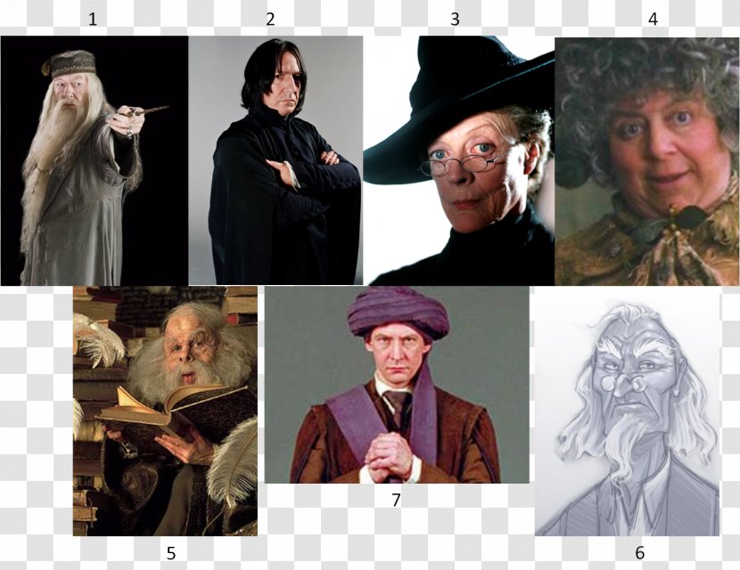 Professor Filius Flitwick Minerva McGonagall Warwick Davis Harry Potter And The Philosopher's Stone Hogwarts - Collage Transparent PNG