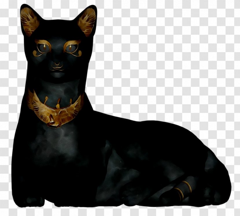 Manchester Terrier Cat Whiskers Mumbai Razas Nativas Vulnerables - Canidae - Dog Breed Transparent PNG