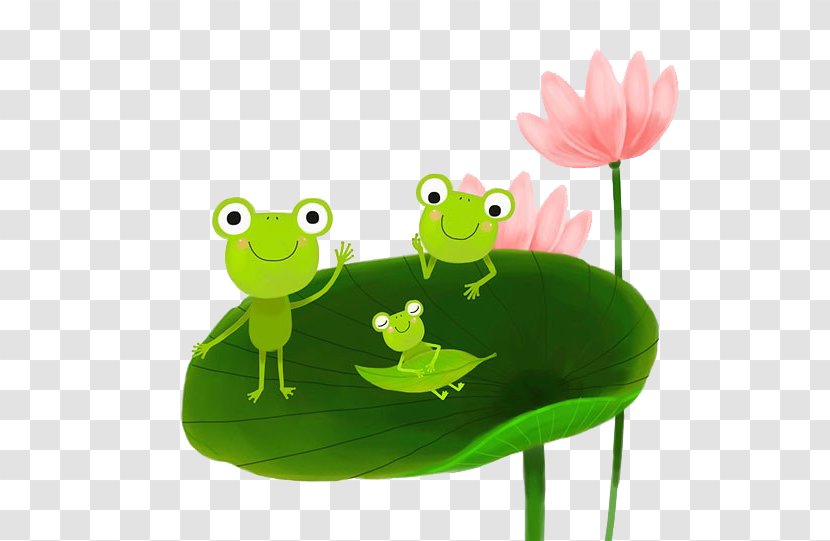True Frog Tree Illustration - Grass - A On Lotus Leaf Transparent PNG