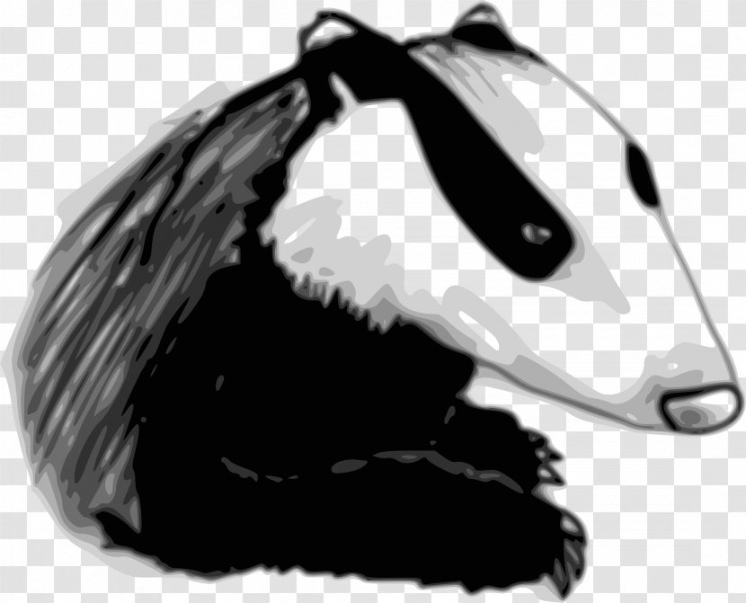European Badger Drawing Clip Art - Helmet - Carnivoran Transparent PNG