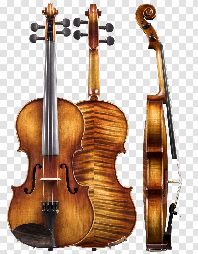 Violin Musical Instruments Double Bass Viola Cello - Amati Transparent PNG