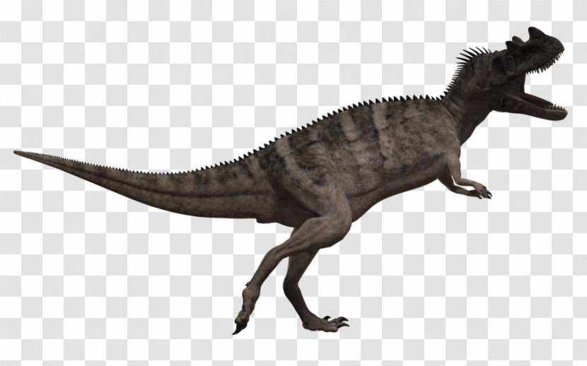 Ceratosaurus Tyrannosaurus Triceratops Carnotaurus Allosaurus - Terrestrial Animal - Animals Dinosaur Transparent PNG