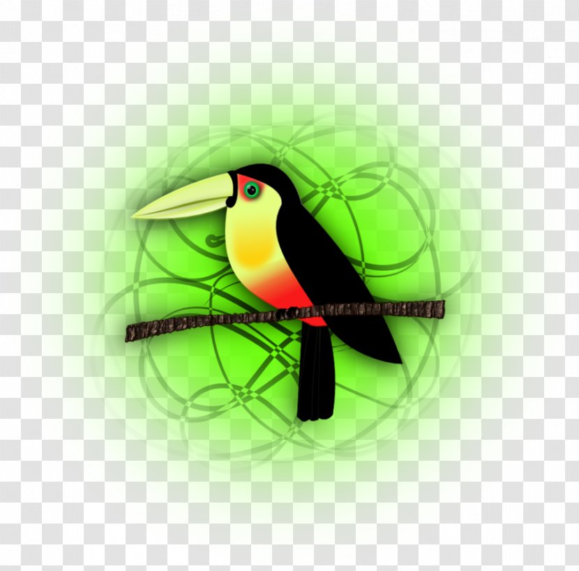 Toucan Hummingbird M Desktop Wallpaper Beak - Computer Transparent PNG