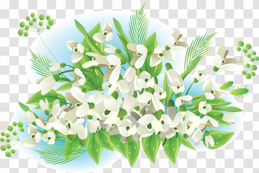 Snowdrop Flower Spring Information - Ye - Crocus Transparent PNG