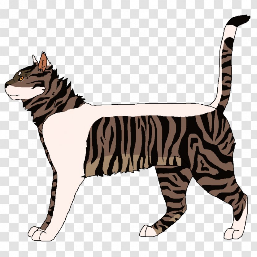 Whiskers Tabby Cat Tiger Domestic Short-haired - Mammal Transparent PNG