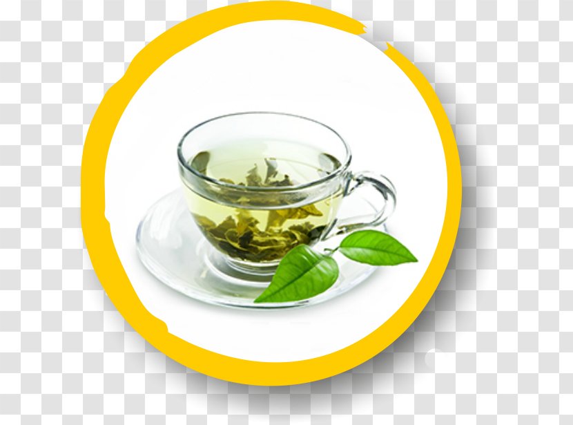 Green Tea Lotion Food Health - Earl Grey Transparent PNG