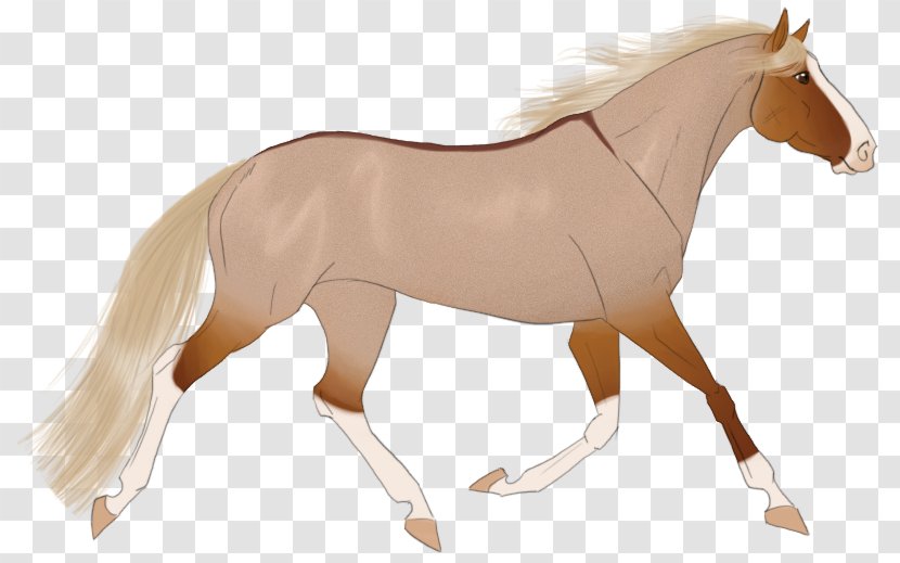 Mane Mustang Stallion Mare Rein - Colt Transparent PNG