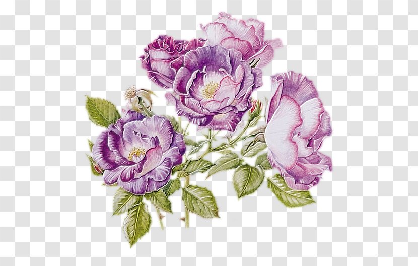 Flower Watercolor Painting Clip Art - Lilac Transparent PNG