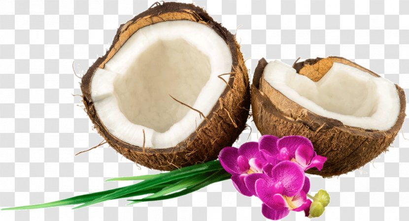 Coconut Water Stock Photography Royalty-free - Royalty Payment Transparent PNG