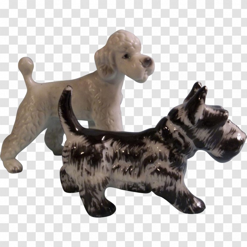 Dog Breed Pet Companion Canidae - Mammal - Poodle Transparent PNG
