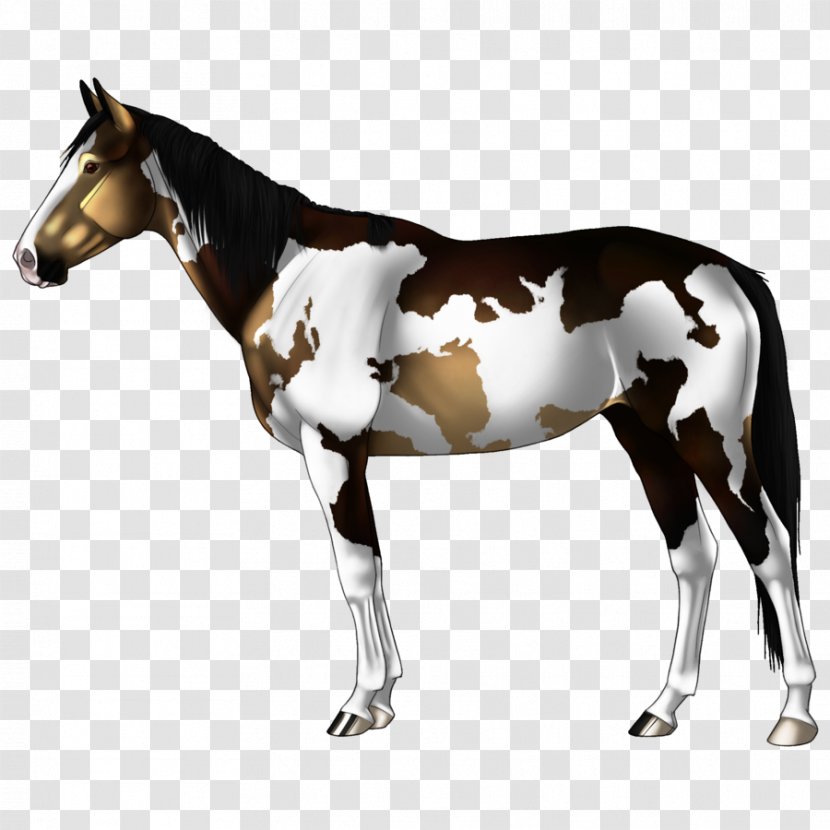 Stallion Mule Foal Mare Mustang Transparent PNG
