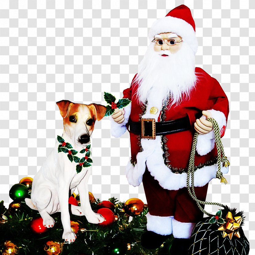 Santa Claus - Christmas Tree - Companion Dog Transparent PNG
