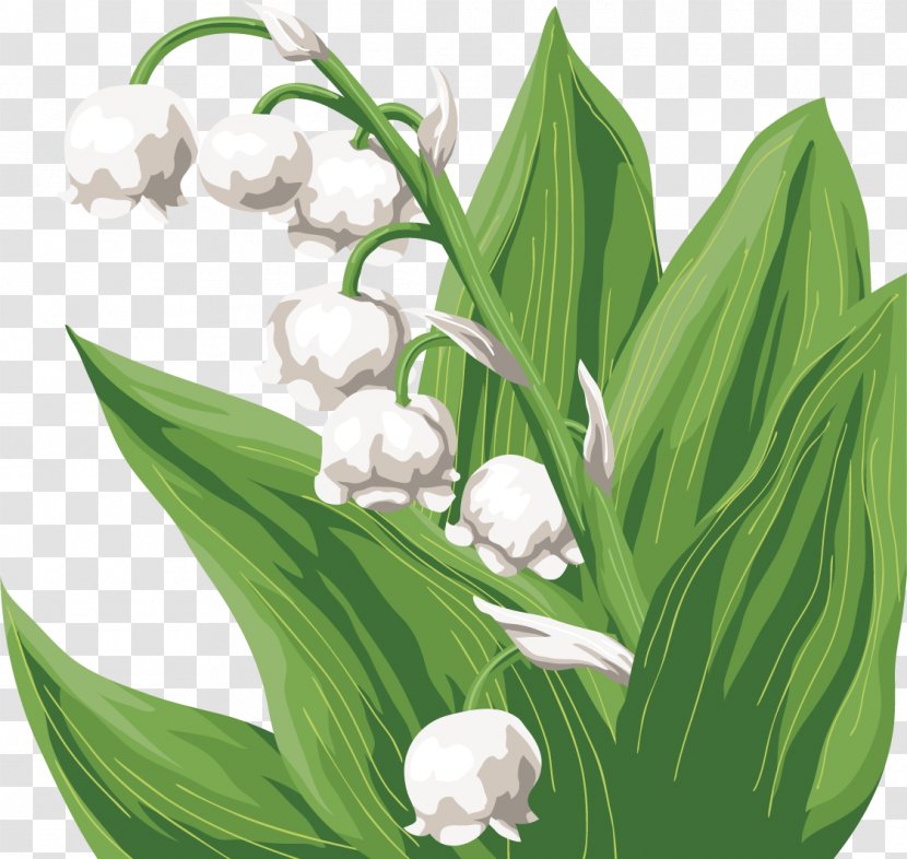 Flower Bouquet Birthday Garden Roses Landishi - Plant - Lily Of The Valley Transparent PNG