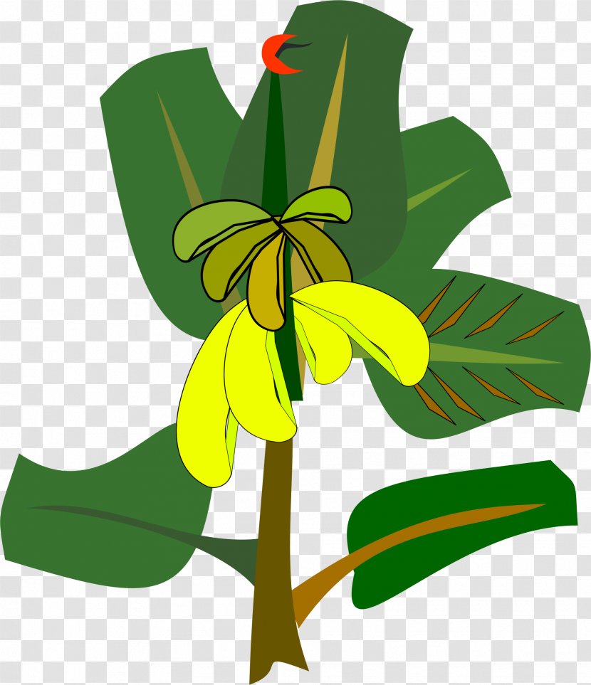 Banana Split Clip Art - Petal - Leaves Transparent PNG