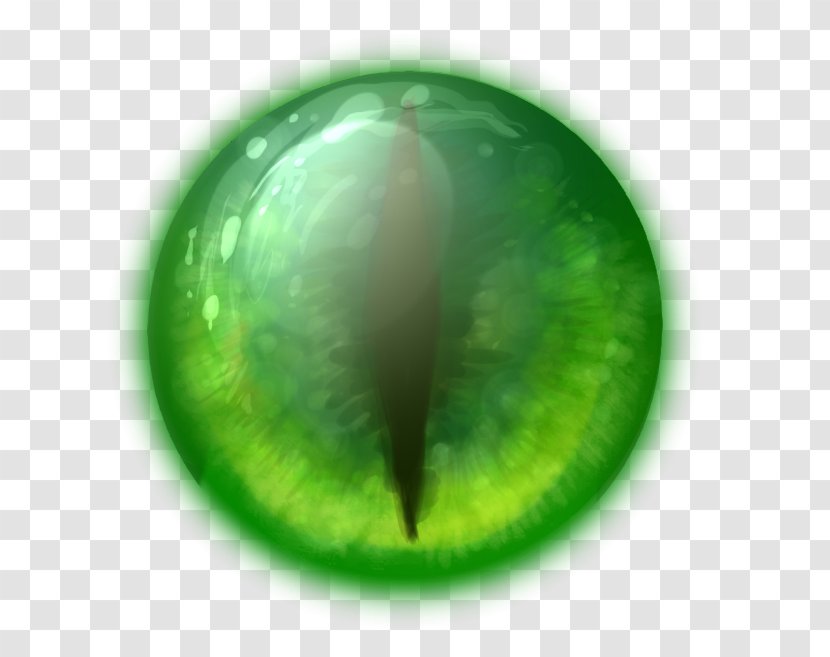 Reptile Eye Lizard Pupil - Grass Transparent PNG