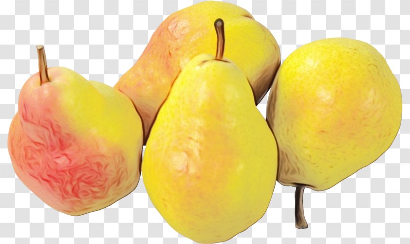 Apple Tree - Ataulfo - Fruit Transparent PNG