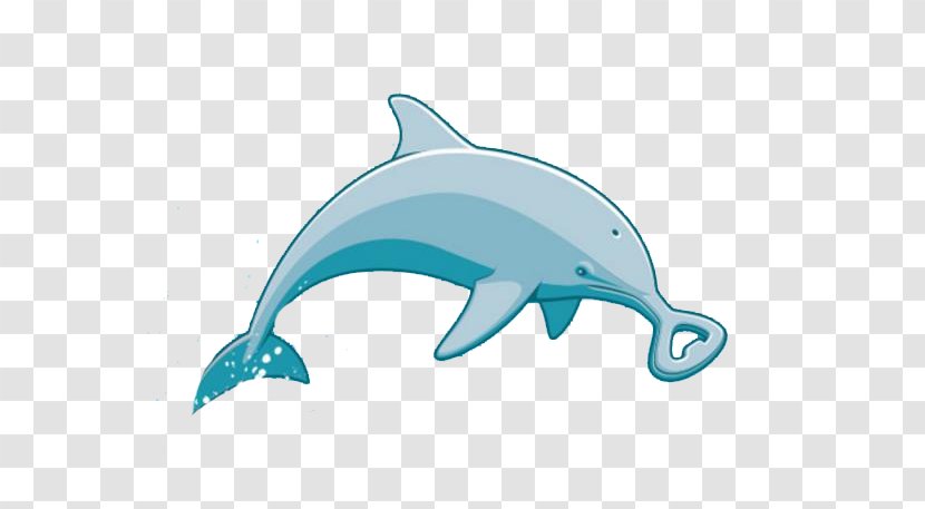 Common Bottlenose Dolphin Tucuxi Baleen Whale - Pendant Transparent PNG