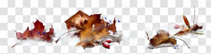 Autumn Maple Leaf Clip Art - Tree Transparent PNG