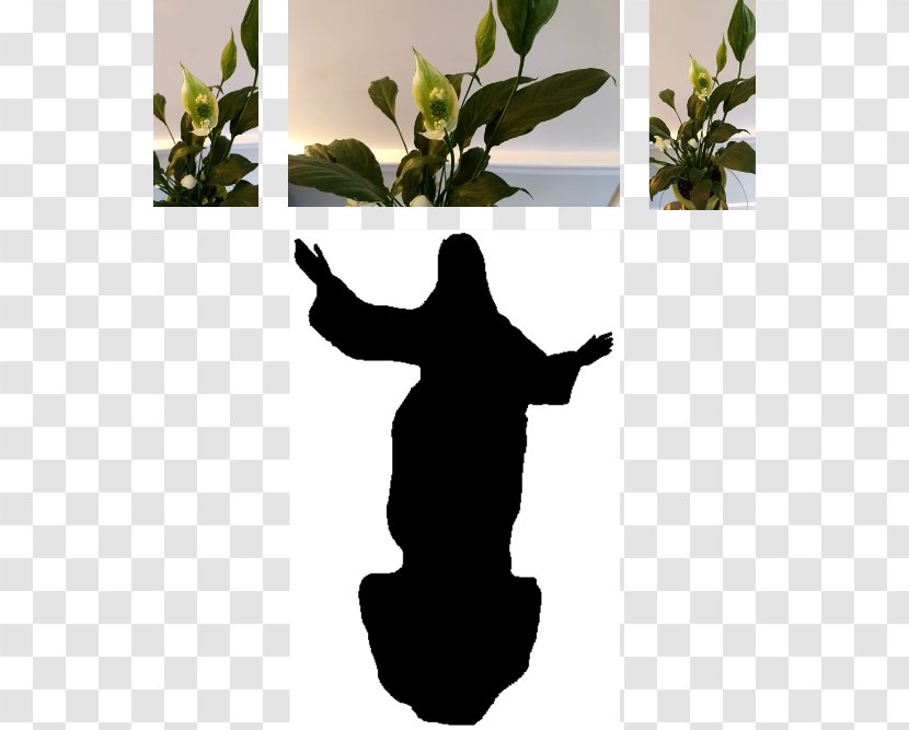 Silhouette Plant Tree - Jesus Easter Transparent PNG