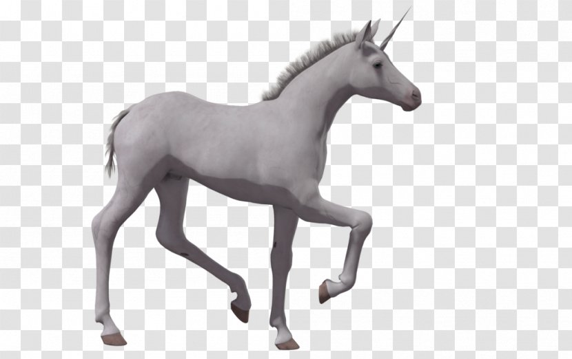 Horse Foal Colt Unicorn Drawing Transparent PNG